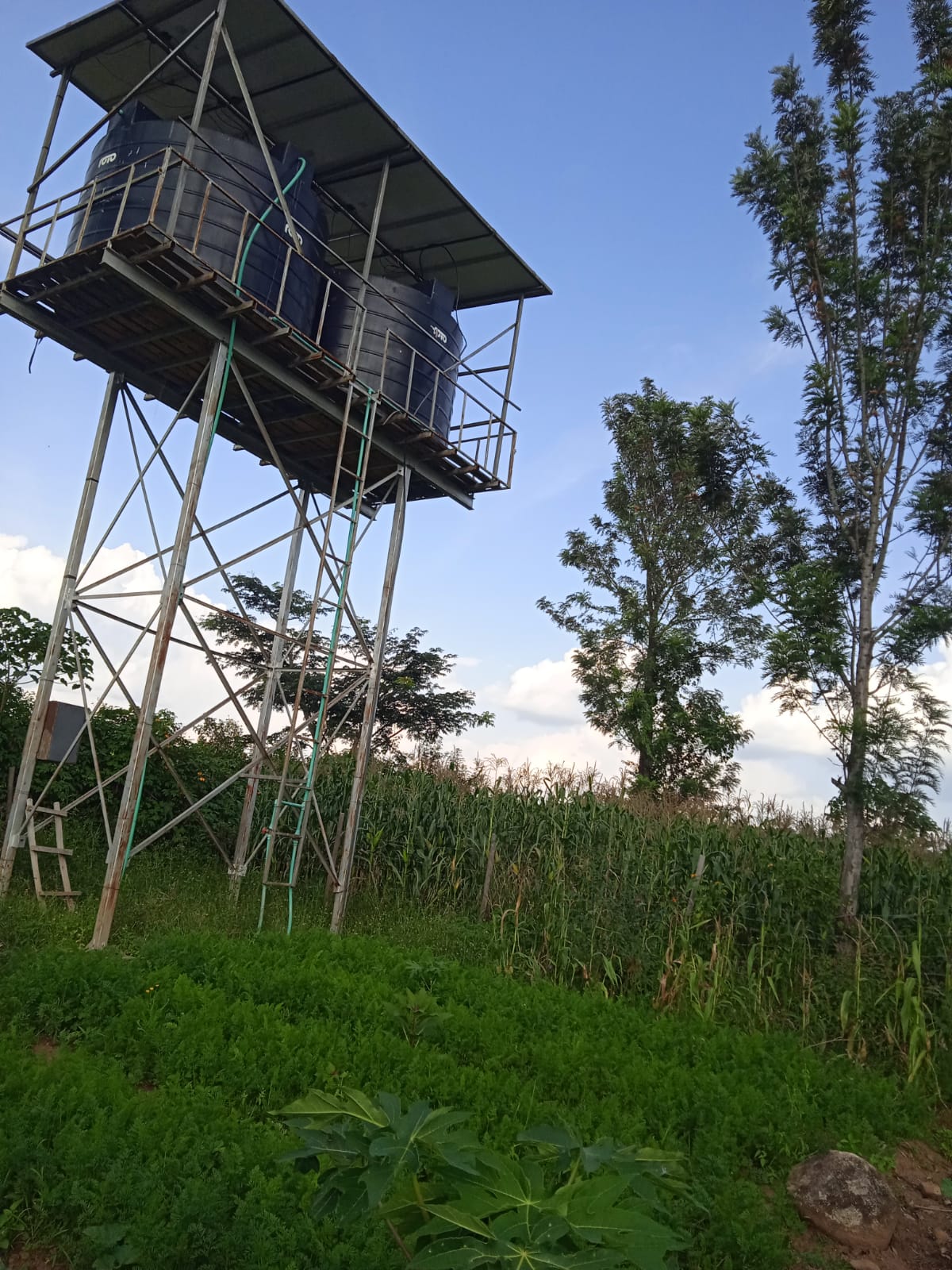 Community Development