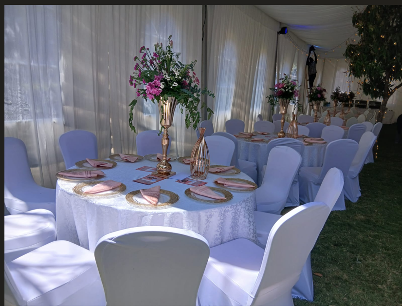 Kimalel Reception