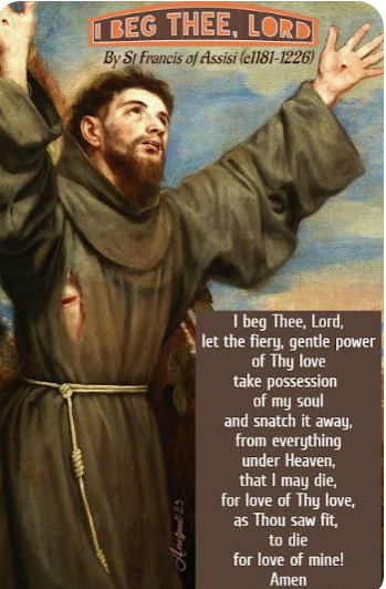 St. Francis Image 5